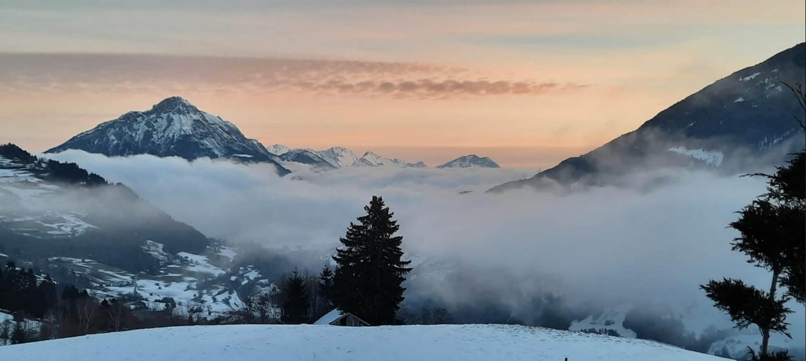 ausblick winter